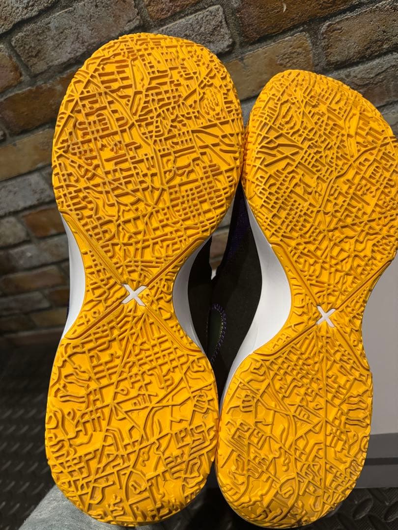 なおなお⭐︎Nike lebron NXXT GEN EPレイカーズ⭐︎