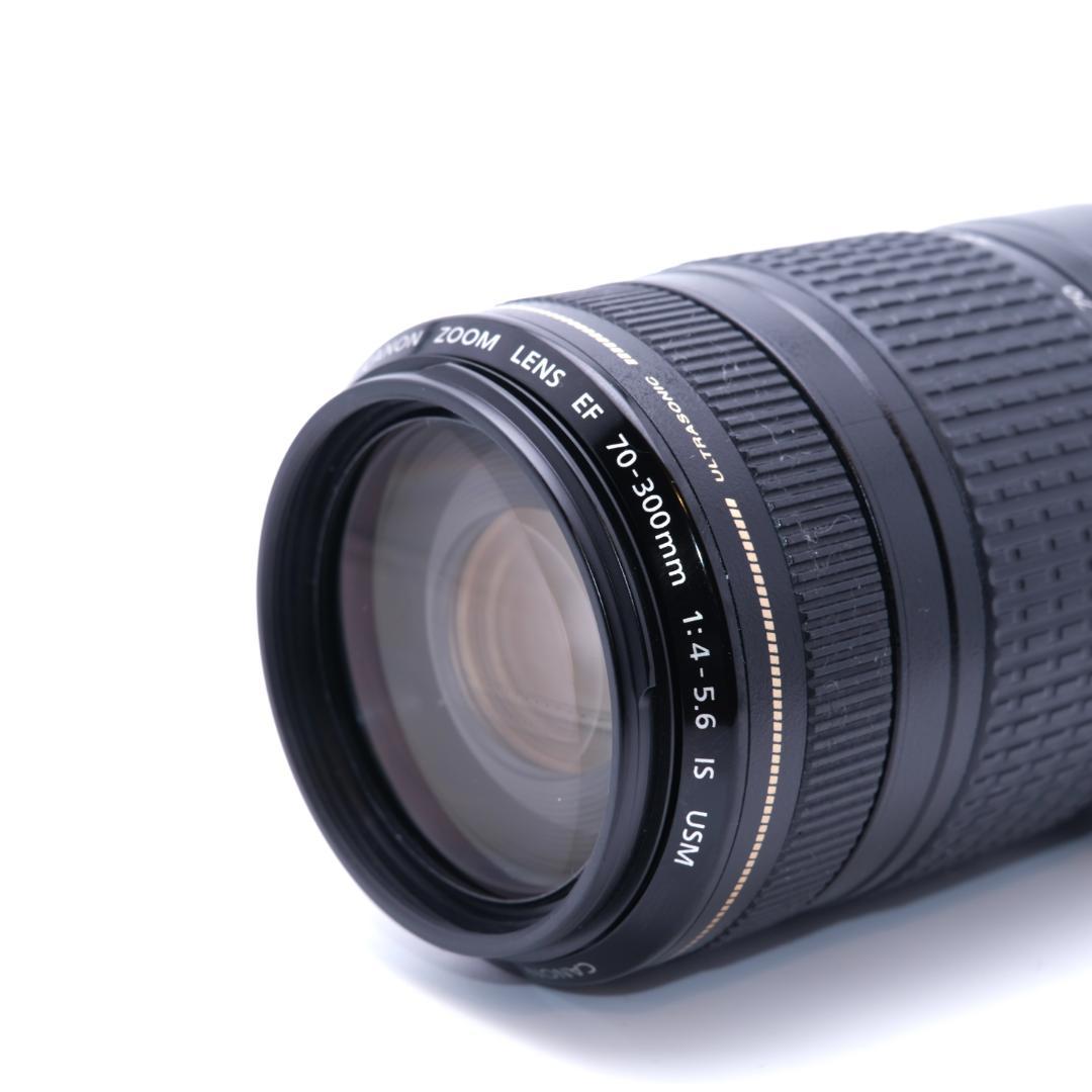 Canon EF 70-300mm F4-5.6 IS USM 手振れ補正