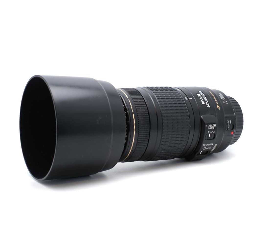 Canon EF 70-300mm F4-5.6 IS USM 手振れ補正
