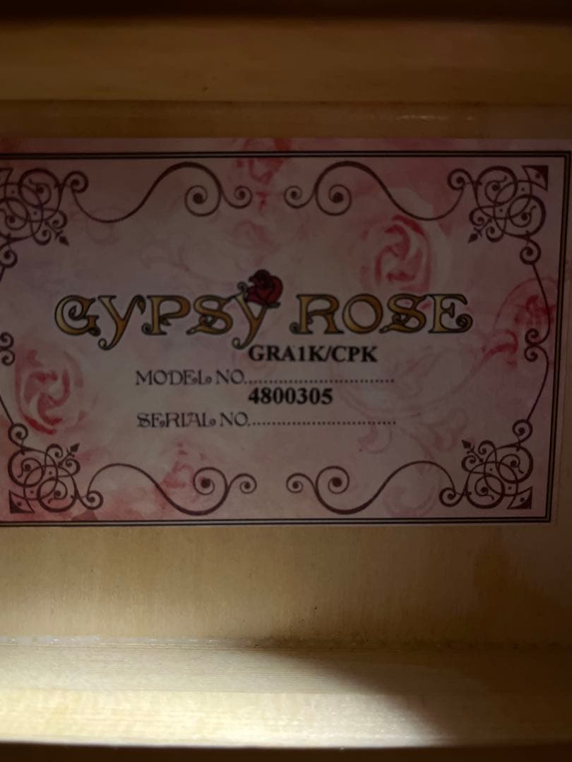 Gypsy Rose ジプシーローズ（ピンク）ケース付