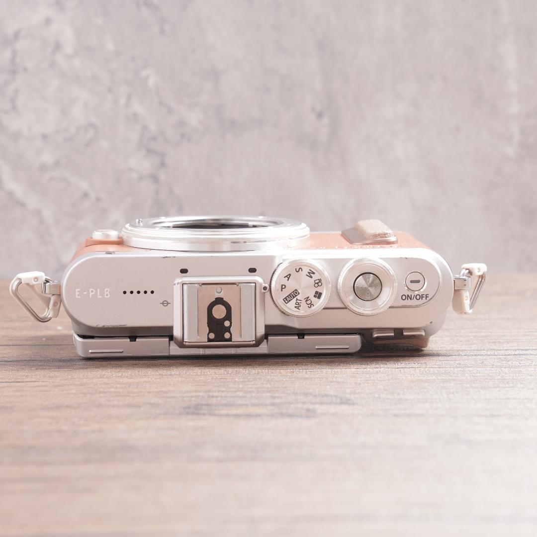 ショット数6029回で美品✨自撮り✨OLYMPUS PEN E-PL8　1093