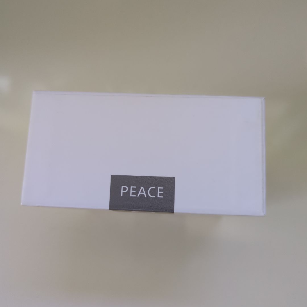 PEACE TW-1 完全ワイヤレス骨伝導イヤホン