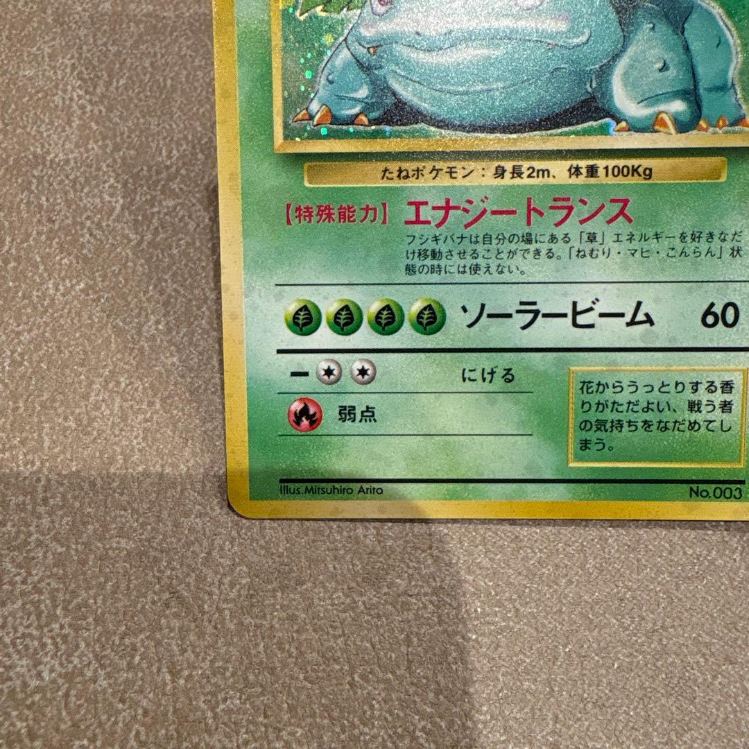 旧裏　フシギバナ