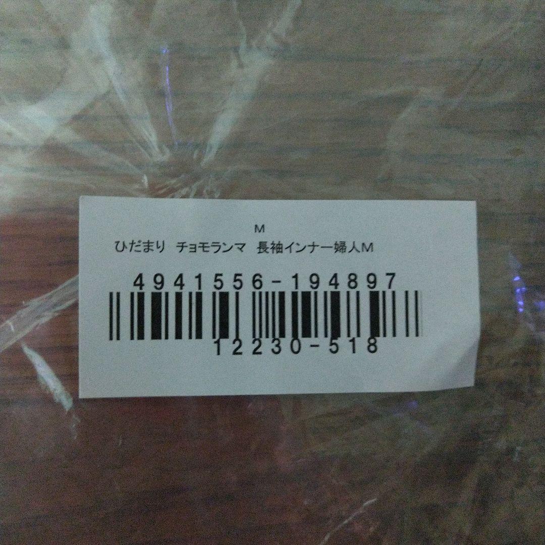 チョモランマ長袖インナー