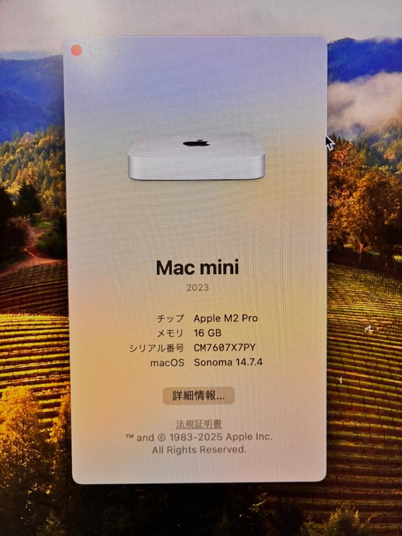 期間限定値下！Mac mini　M2Pro　16GB 2テラ　美中古