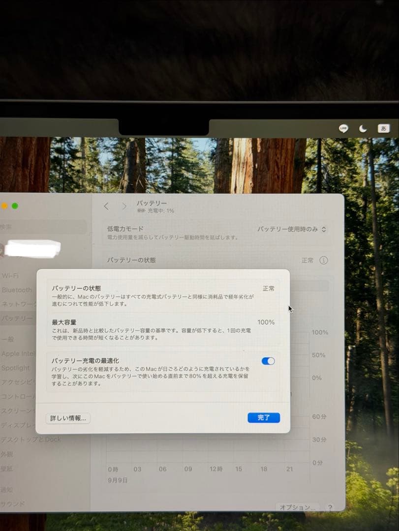 ほぼ新品 MacBook Air M4 16GB 256GB バッテリー100%