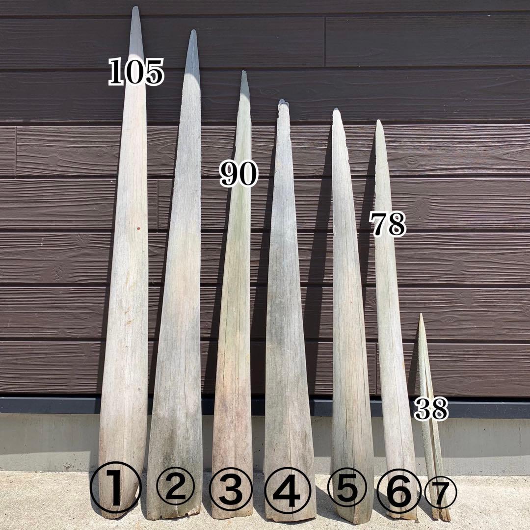 カジキ 角 1m超え