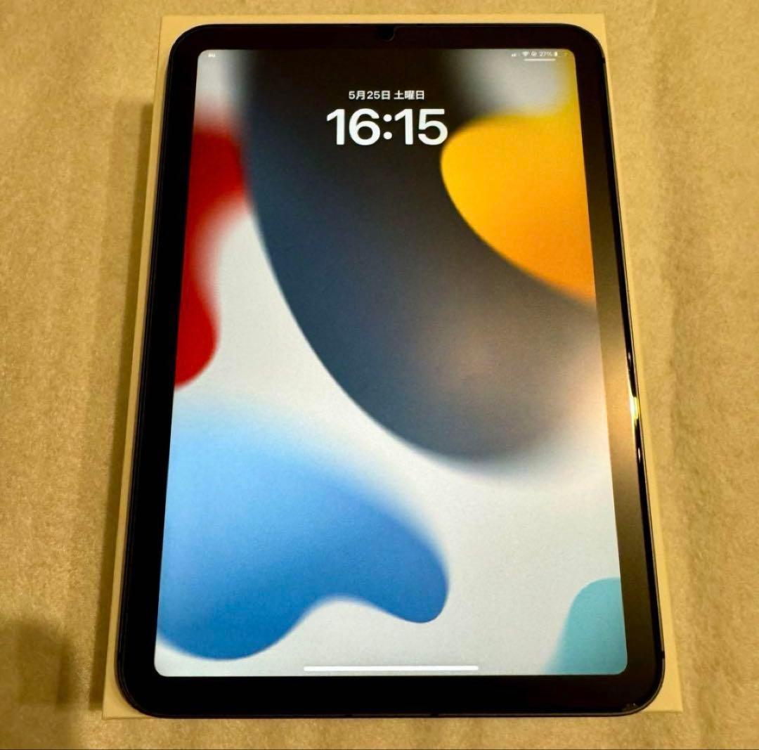 極美品 iPad mini 本体 第6世代 256GB セルラー スペースグレイ