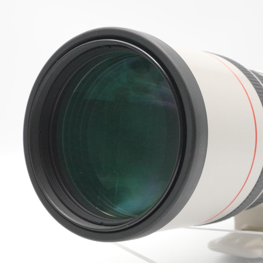 Canon EF 300mm F4 L IS USM キヤノン