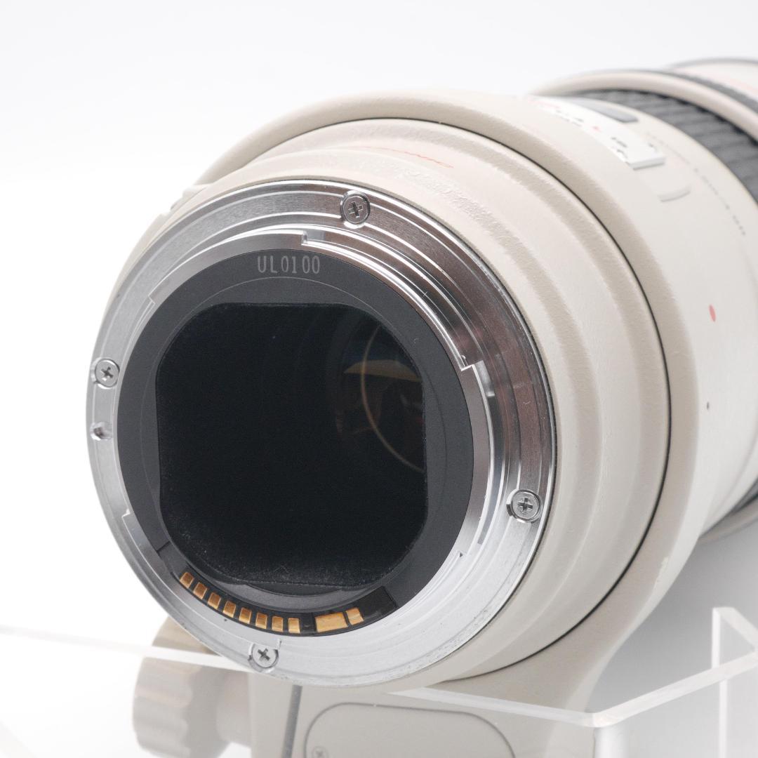 Canon EF 300mm F4 L IS USM キヤノン