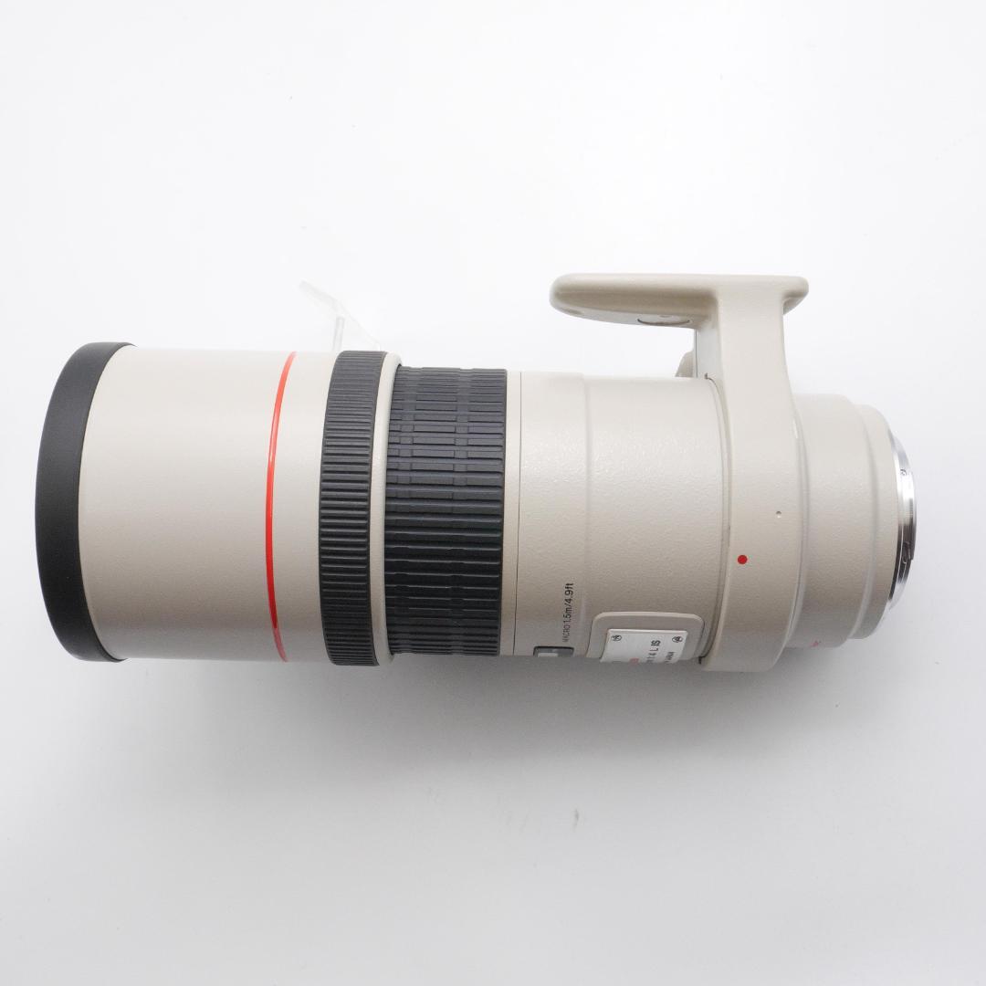 Canon EF 300mm F4 L IS USM キヤノン