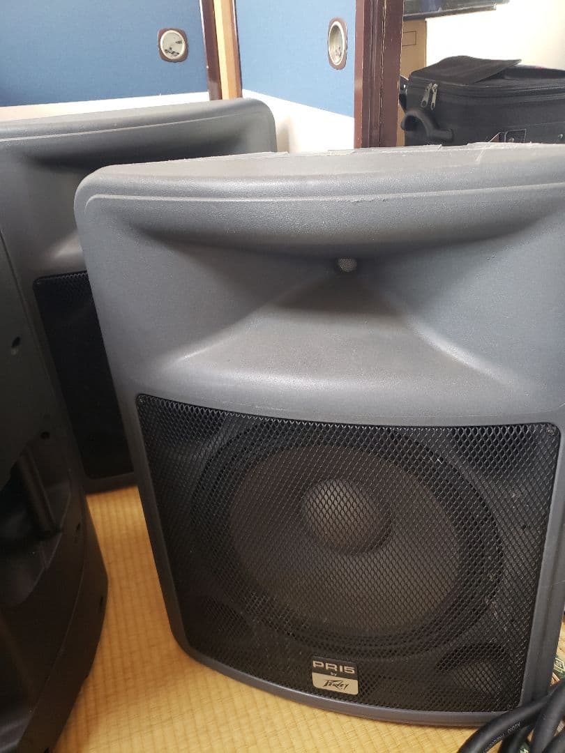 佐渡宿泊素泊まり　Peavey PR15 スピーカー 　国内希少