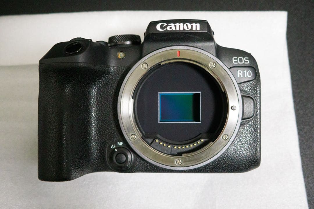 【美品】Canon EOS R10 ミラーレス一眼 本体