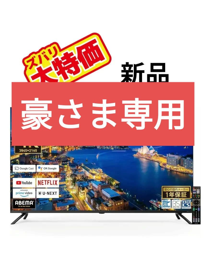 ORION 50インチ　4K　OLS50RD10 2024年製　50V