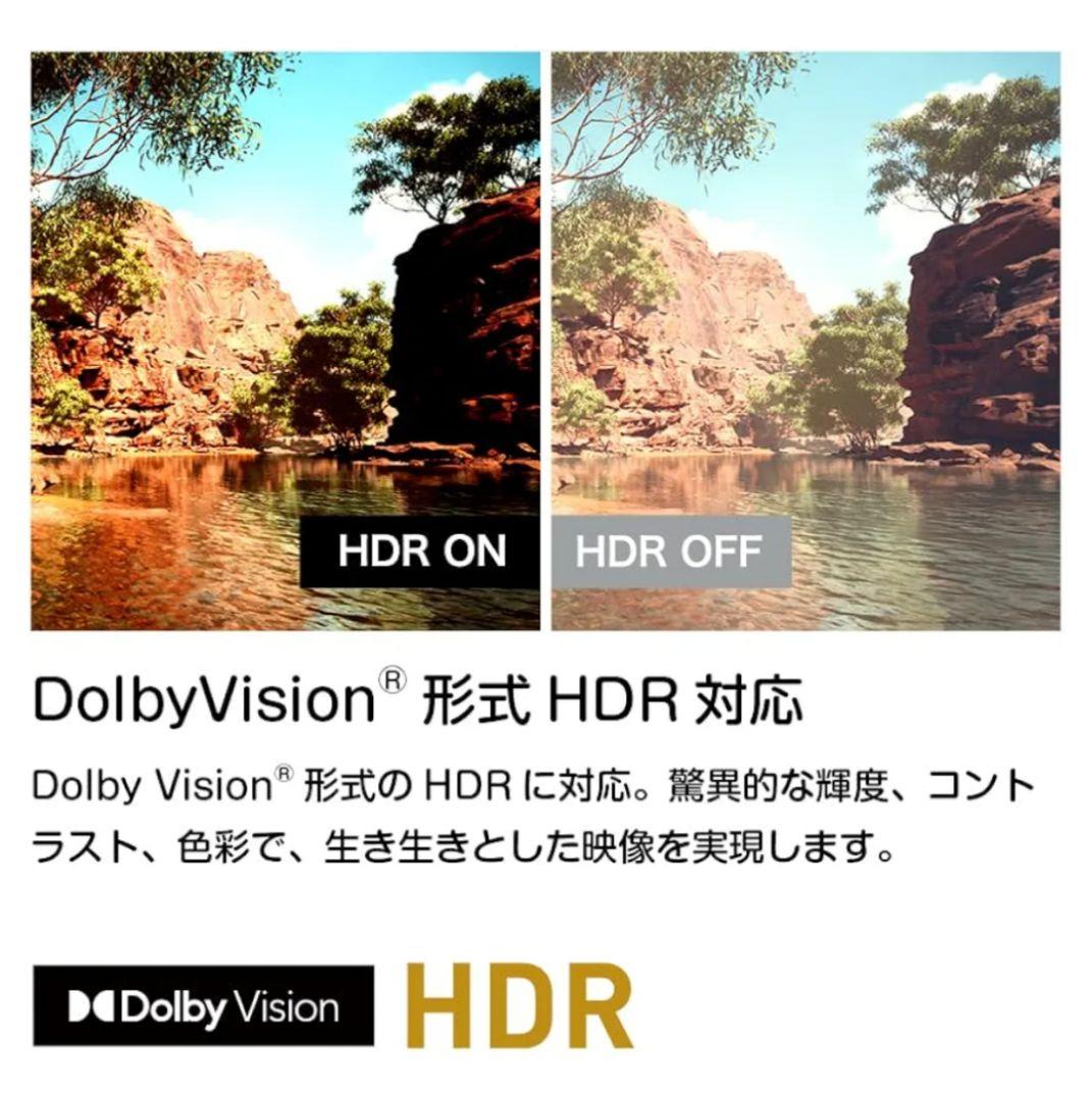 ORION 50インチ　4K　OLS50RD10 2024年製　50V