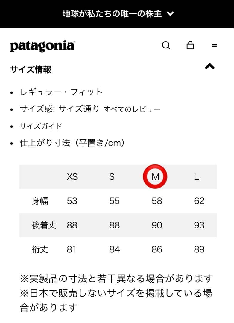 patagonia ロングダウンジャケット　W'sDowndriftParka