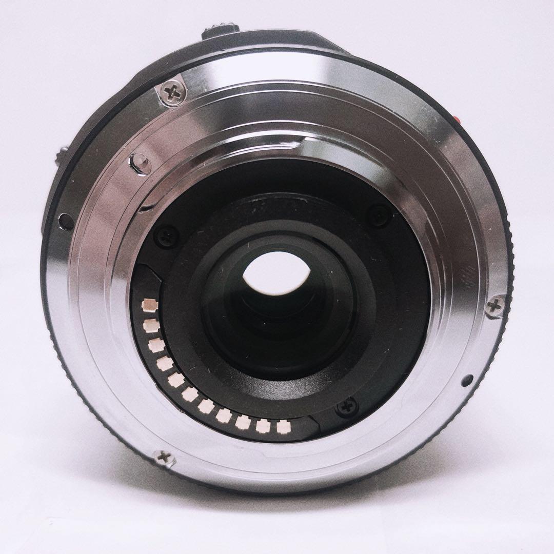 【美品】LUMIX DMC-GX1 PZ14-42mm セット