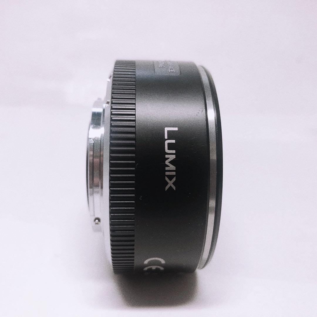 【美品】LUMIX DMC-GX1 PZ14-42mm セット