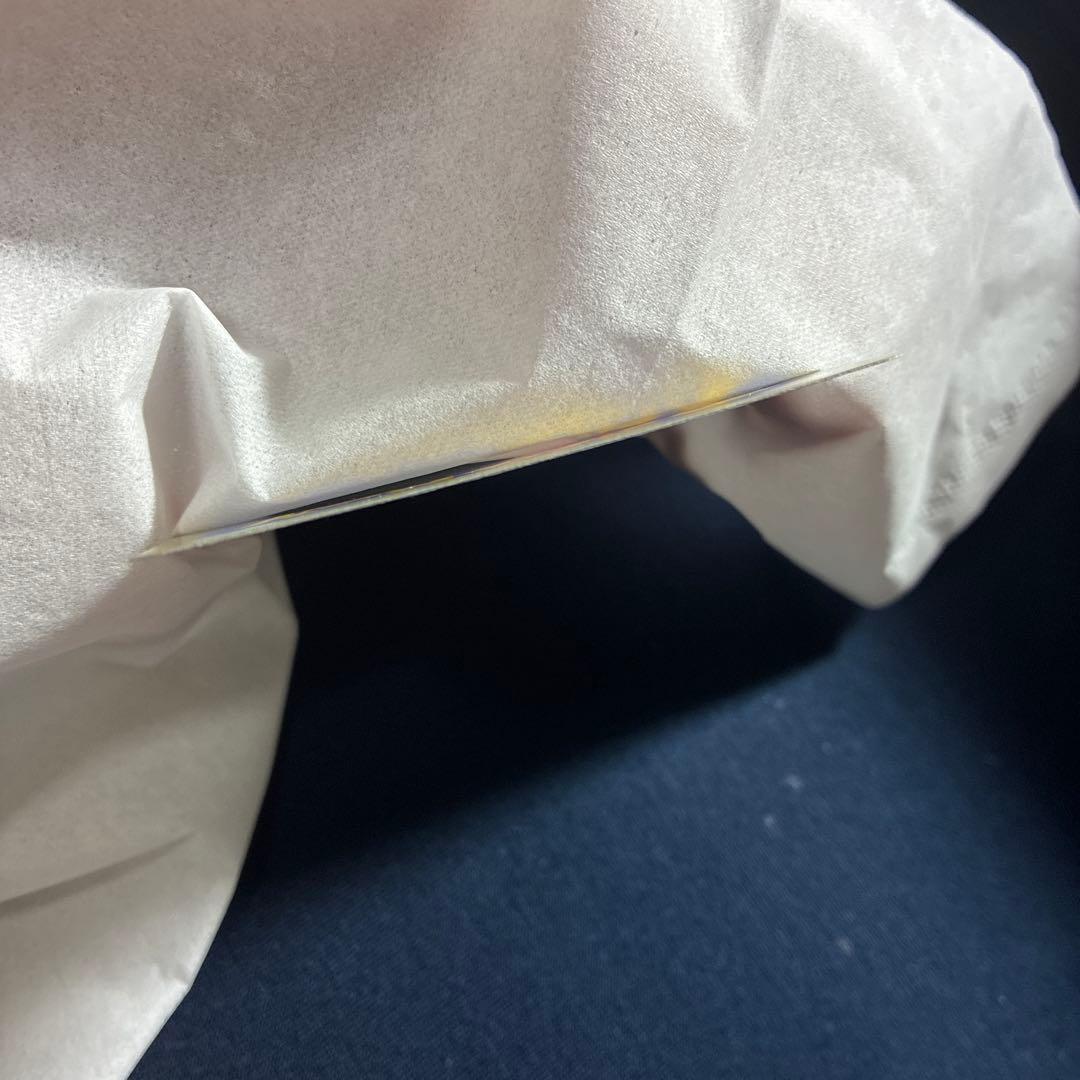 ポケモンカード　メガエンブオーex　SAR仕様