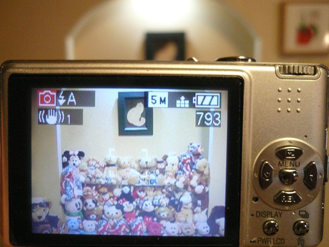 LUMIX★DMC-FX8⭐️美品❤️完品(箱が無いだけ)⭕️安心の実働品