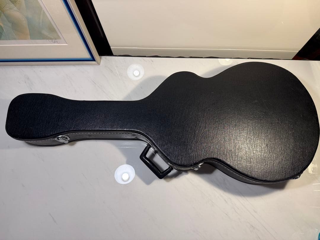 Ibanez アコースティックギター ハードケース付