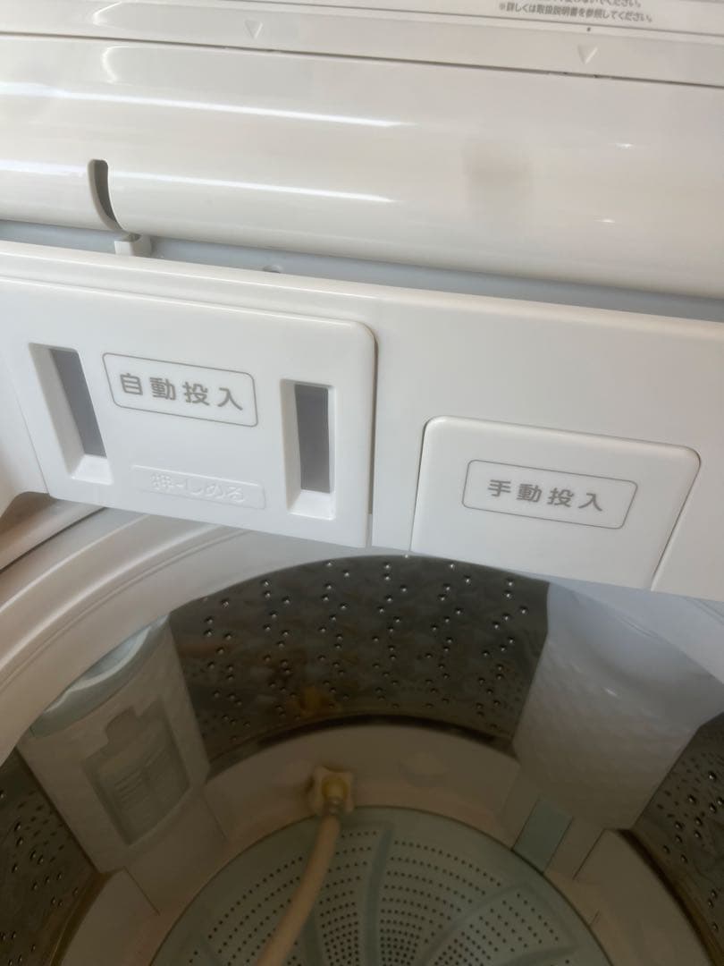 TOSHIBA 2025年製　洗濯機　10kg 洗剤自動投入