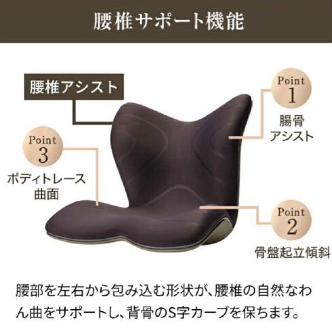 Style PREMIUM 骨盤・姿勢矯正クッション