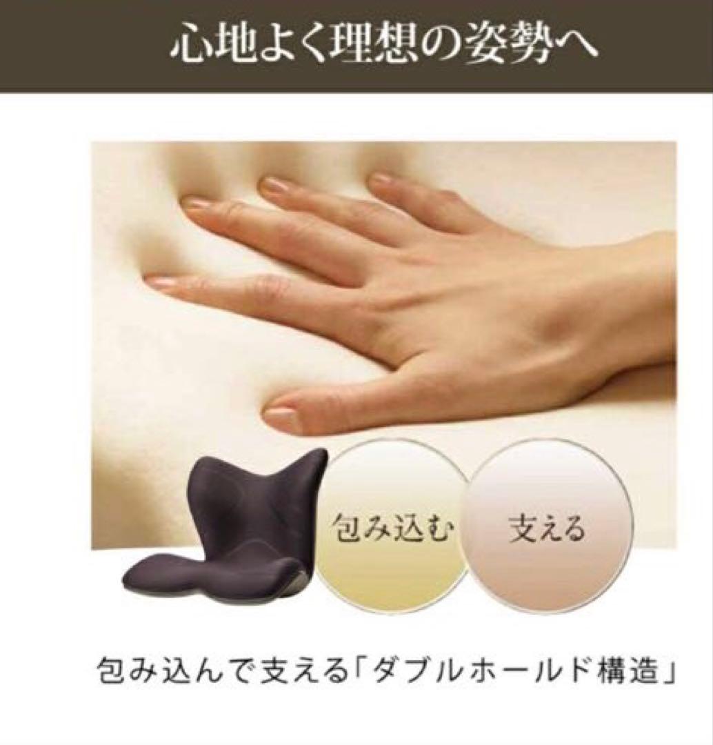 Style PREMIUM 骨盤・姿勢矯正クッション