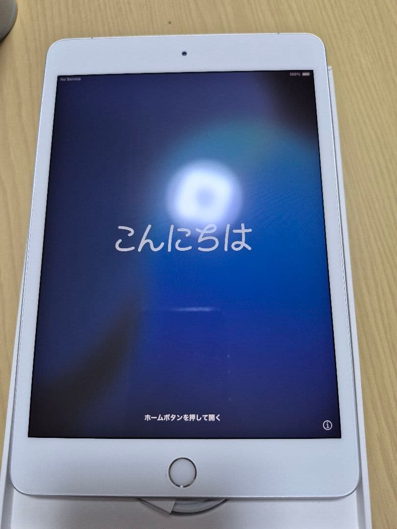ipad mini 第5世代 64GB Wi-Fiモデル