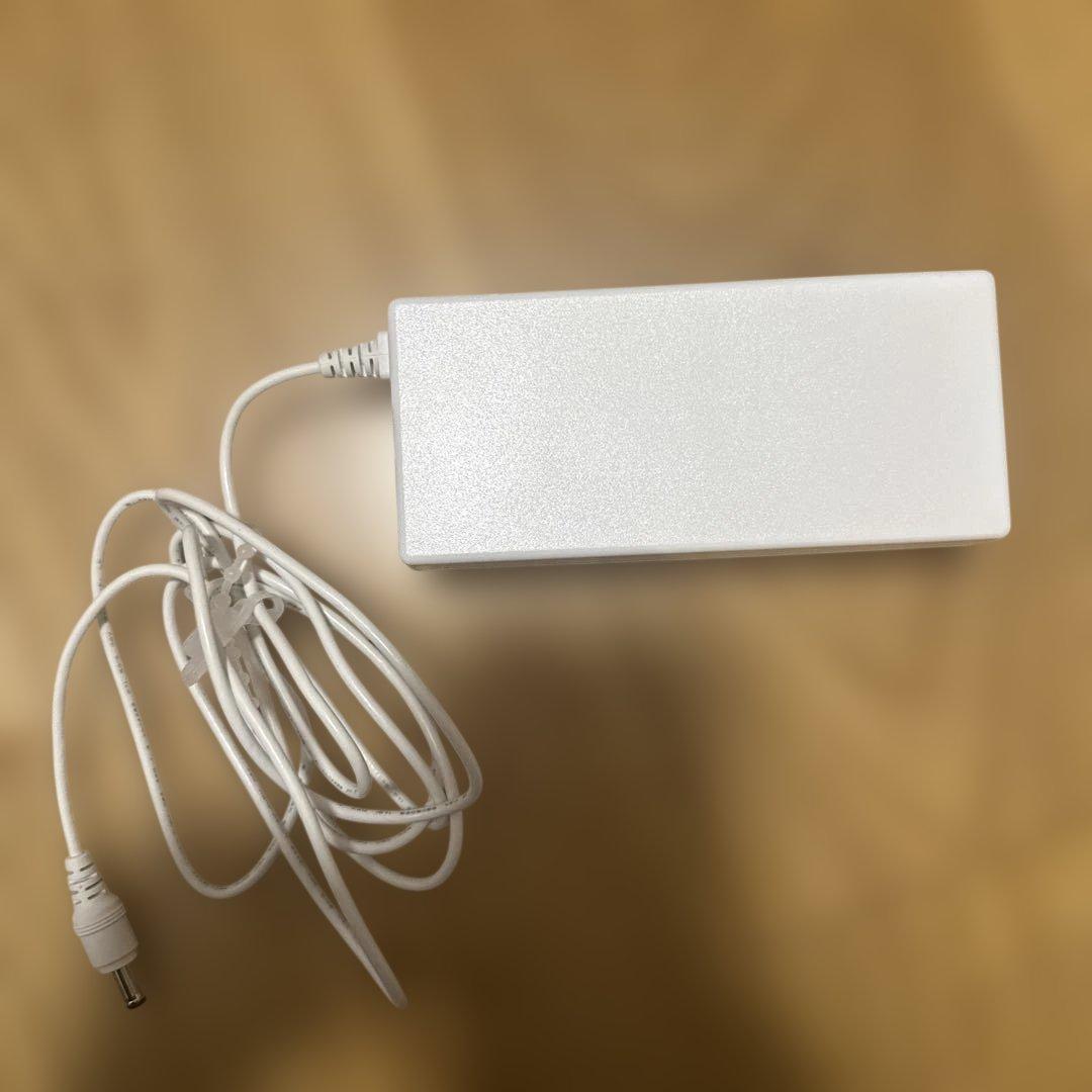 Panasonic フォトブライトショット　光美顔器