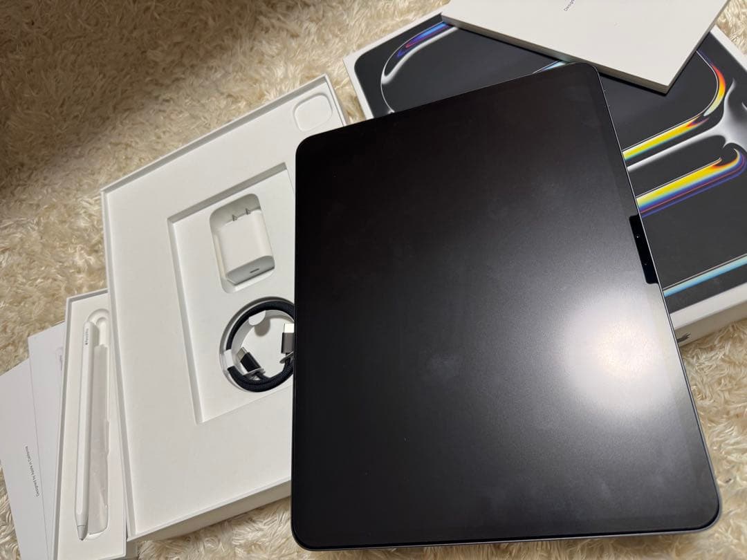 iPad Pro 13インチ M4 256GB Wi-Fi 純正ペンpro