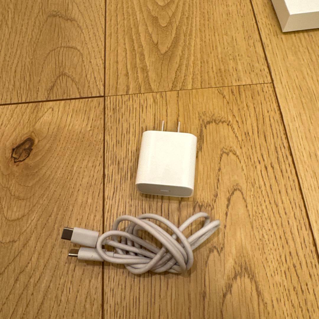 iPad Pro 12.9 第3世代256GB Wifi + Cellular