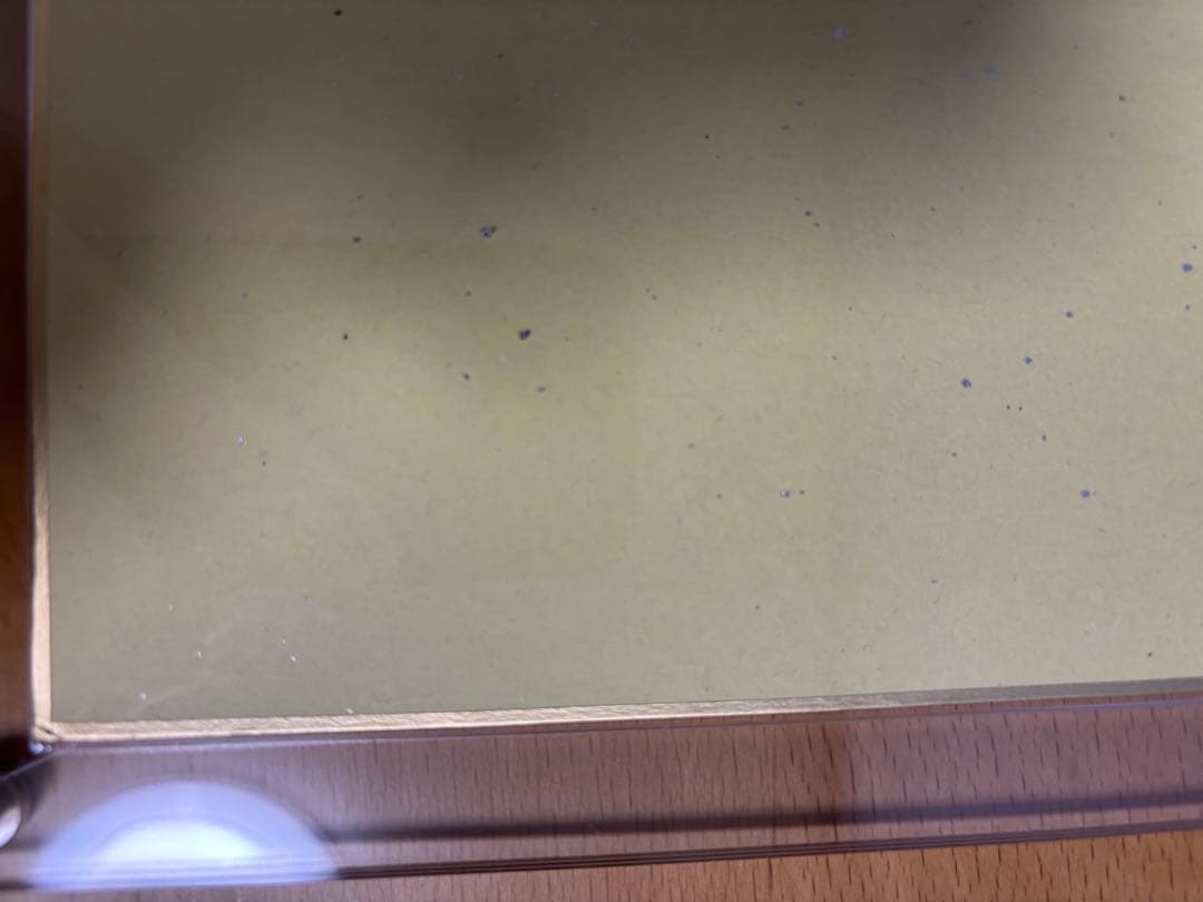 【最安値】コードギアスルルーシュ＆C.C. 描き下ろし 非売品　サンライズフェス