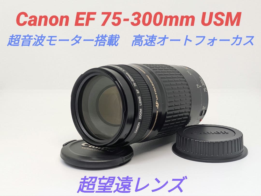 1月23日限定②OP付【超望遠レンズ】Canon EF 75-300mm USM