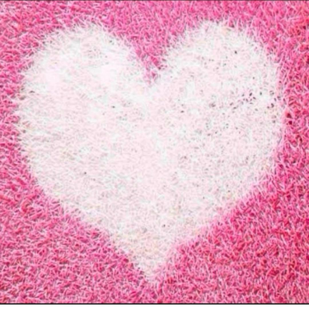 みっきーさま専用