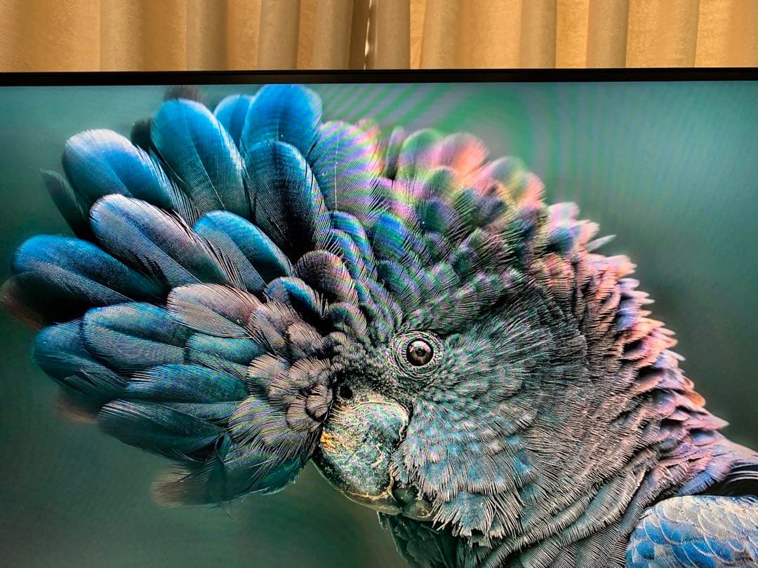 TITAN ARMY ハイエンドモニター P2710R MAX 27型