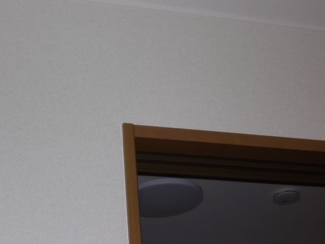 【オールドコンデジ】 PENTAX Optio RS1000