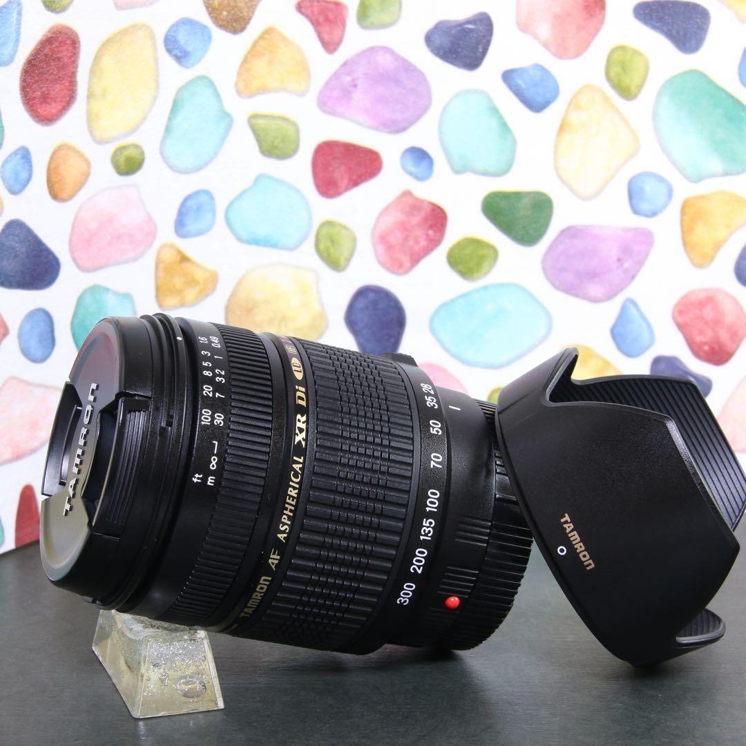 ♥︎◇美品 ◇近くも遠くもOK♪ ◇TAMRON 28-300mm Sony