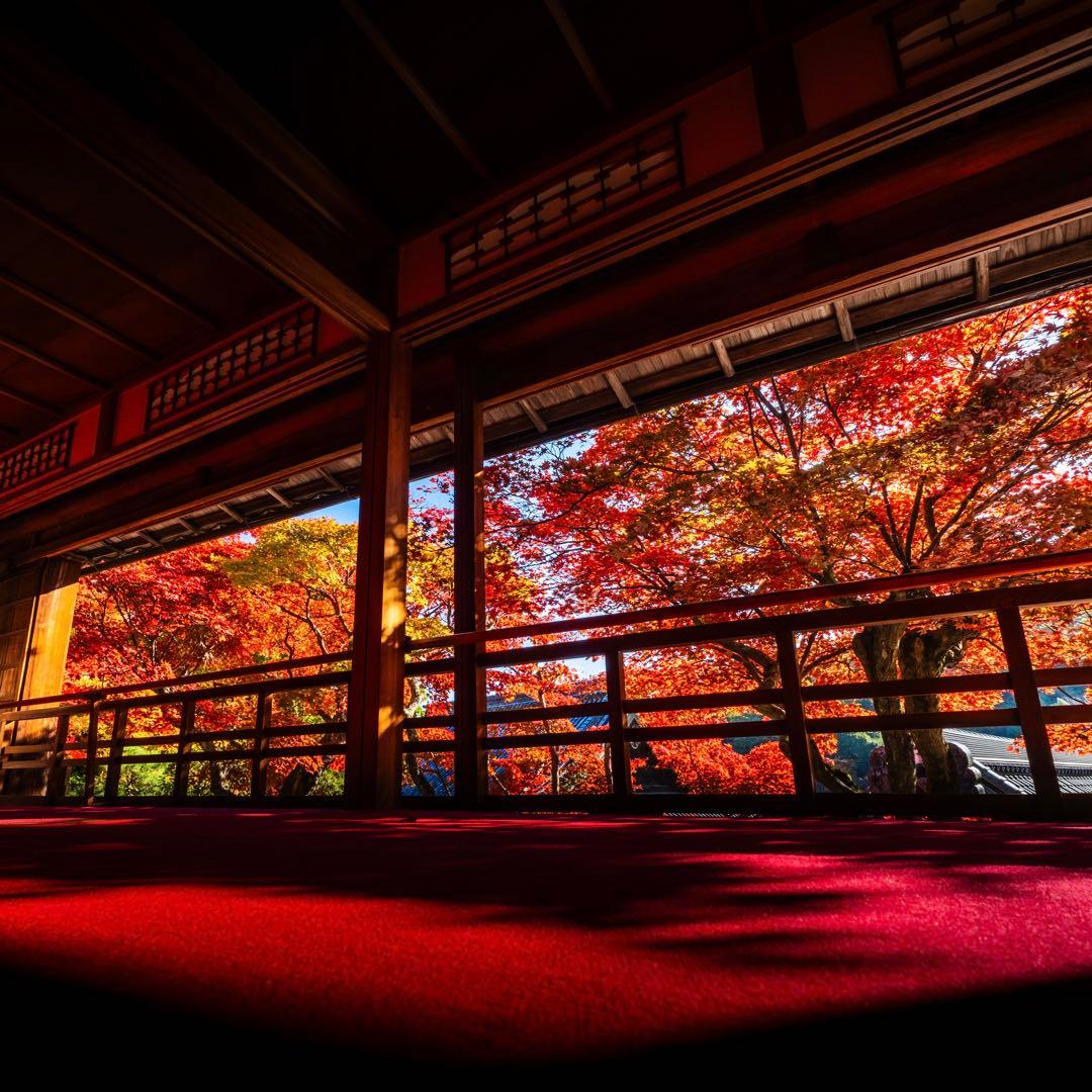 エイデイさん専用