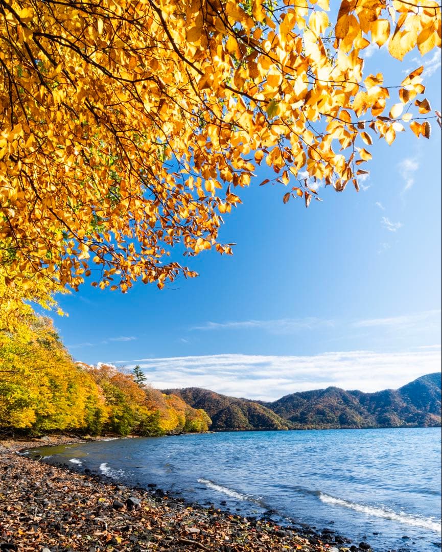 エイデイさん専用