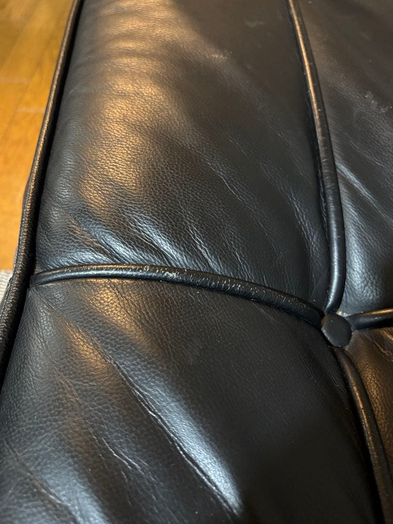 Eileen Gray／Day Bed（デイベッド）本革仕様ジェネリック