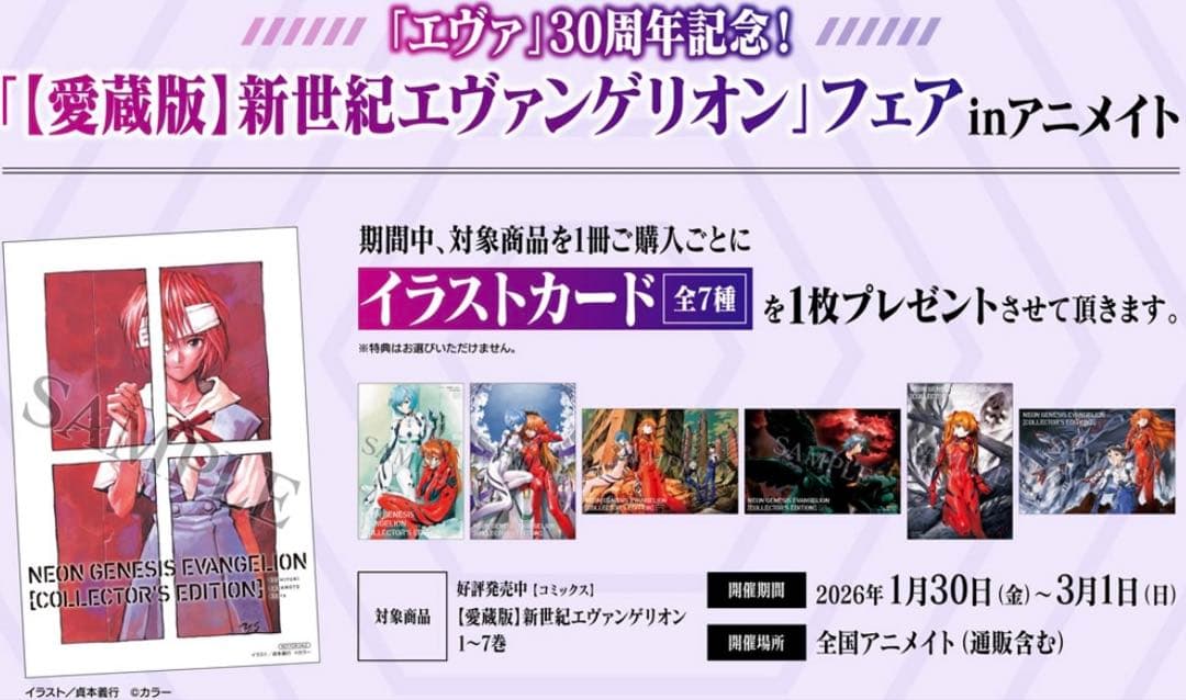 イラストカード(全7種) 愛蔵版 新世紀エヴァンゲリオン アニメイト特典