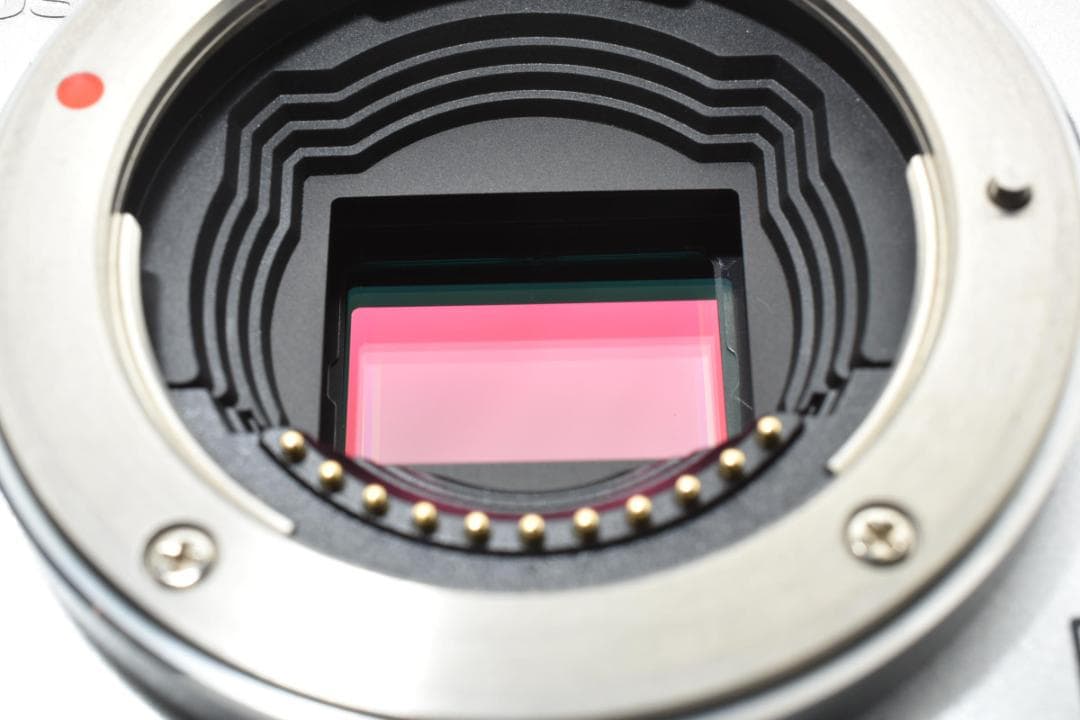 ★超美品★OLYMPUS オリンパス PEN E-PM1 ボディ #21455