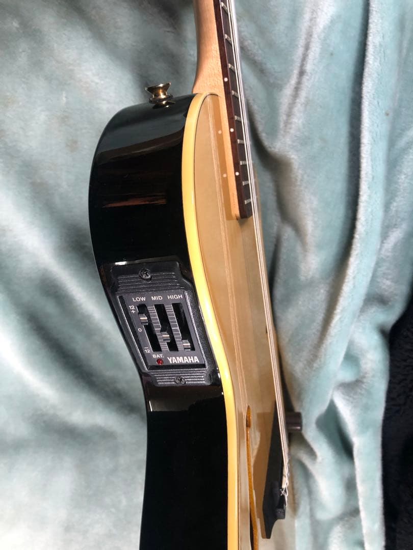 M*9様 ヤマハ　AEX500N エレガット