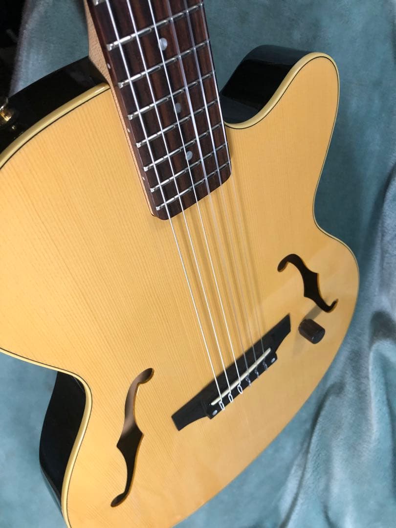 M*9様 ヤマハ　AEX500N エレガット