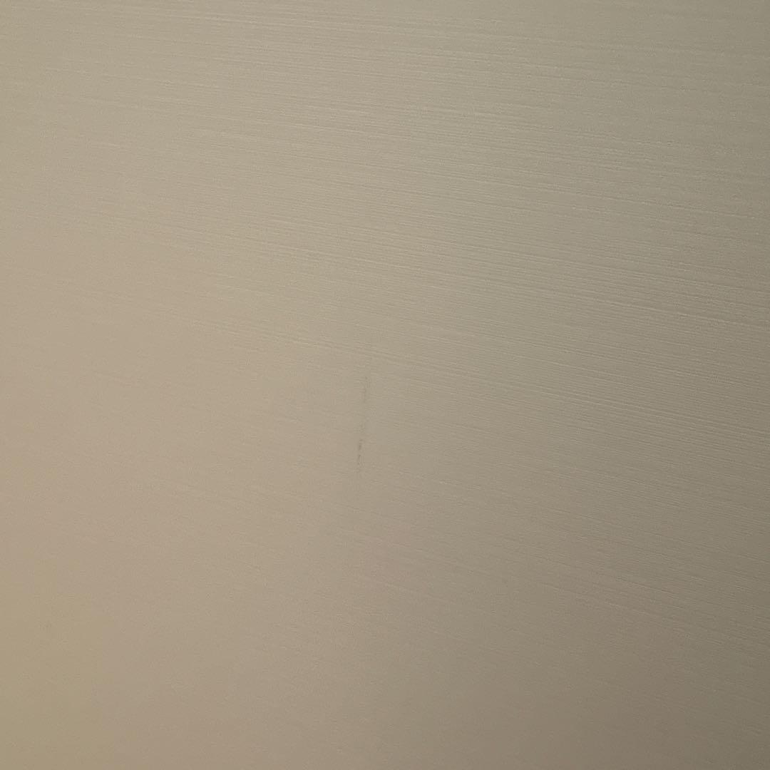 Panasonic 空間除菌脱臭機 ジアイーノ 12畳 F-MV2100