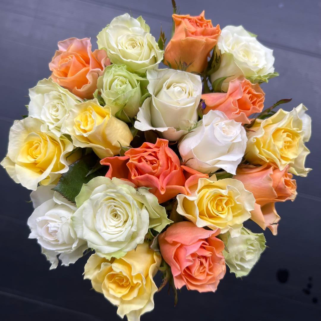 KEIKO　2日発　30本　3セット