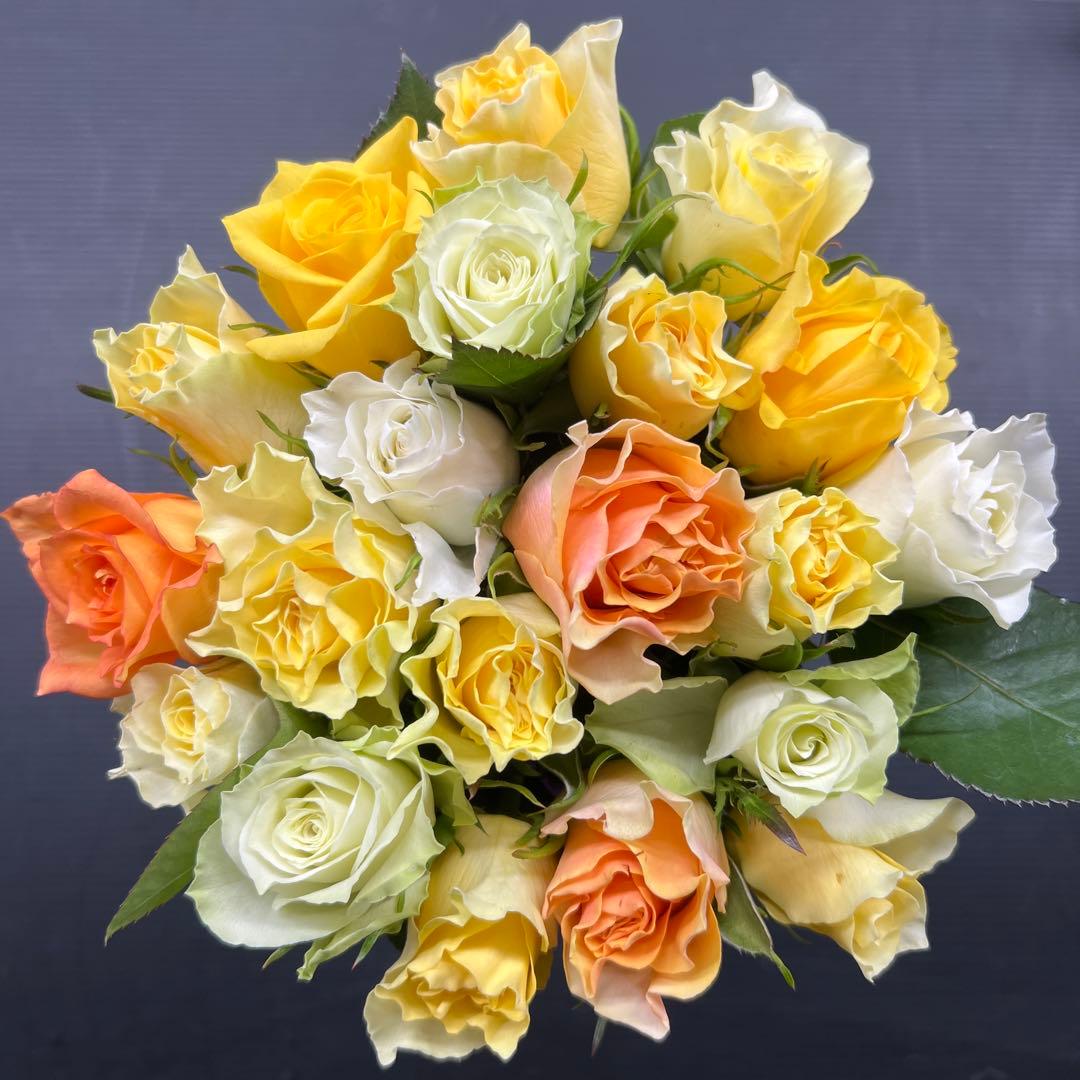 KEIKO　2日発　30本　3セット