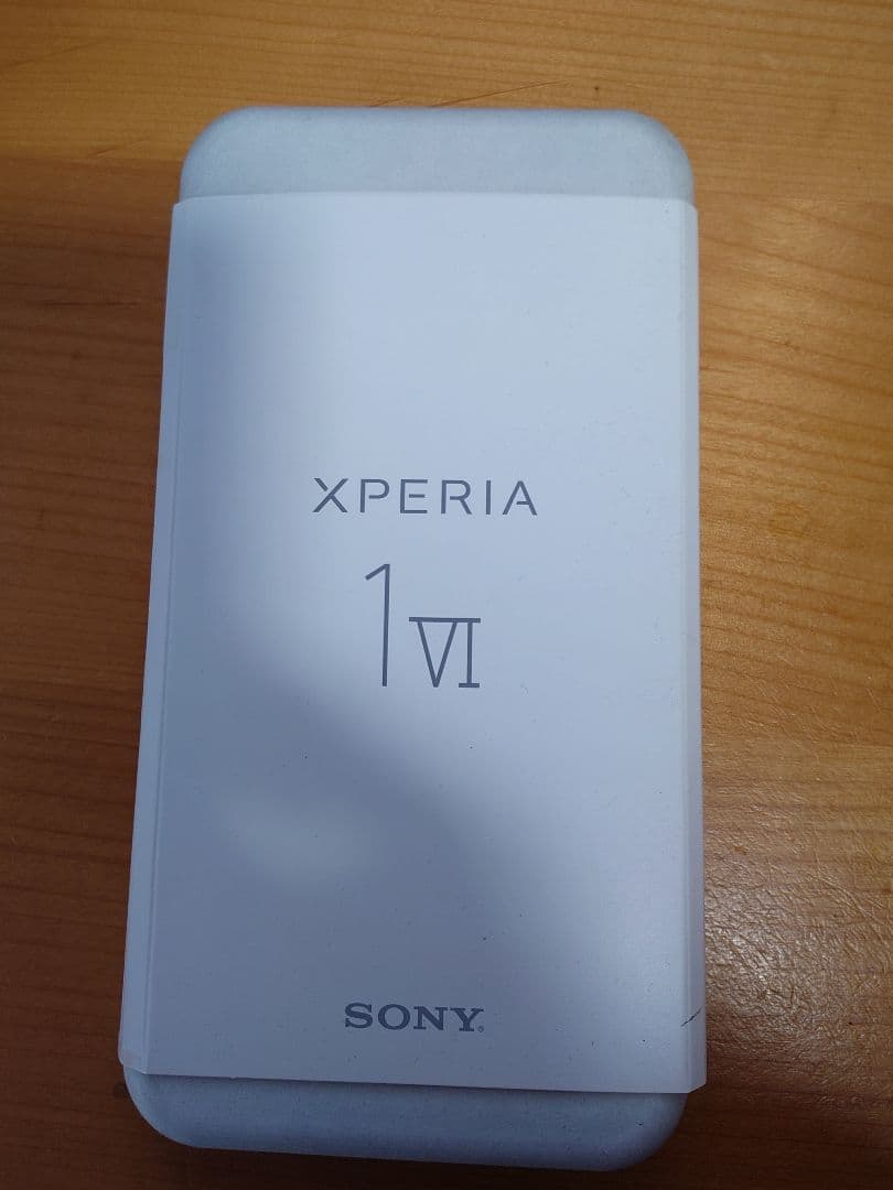 Xperia 1 VI SOG13ブラックモデル 本体 ケース付き