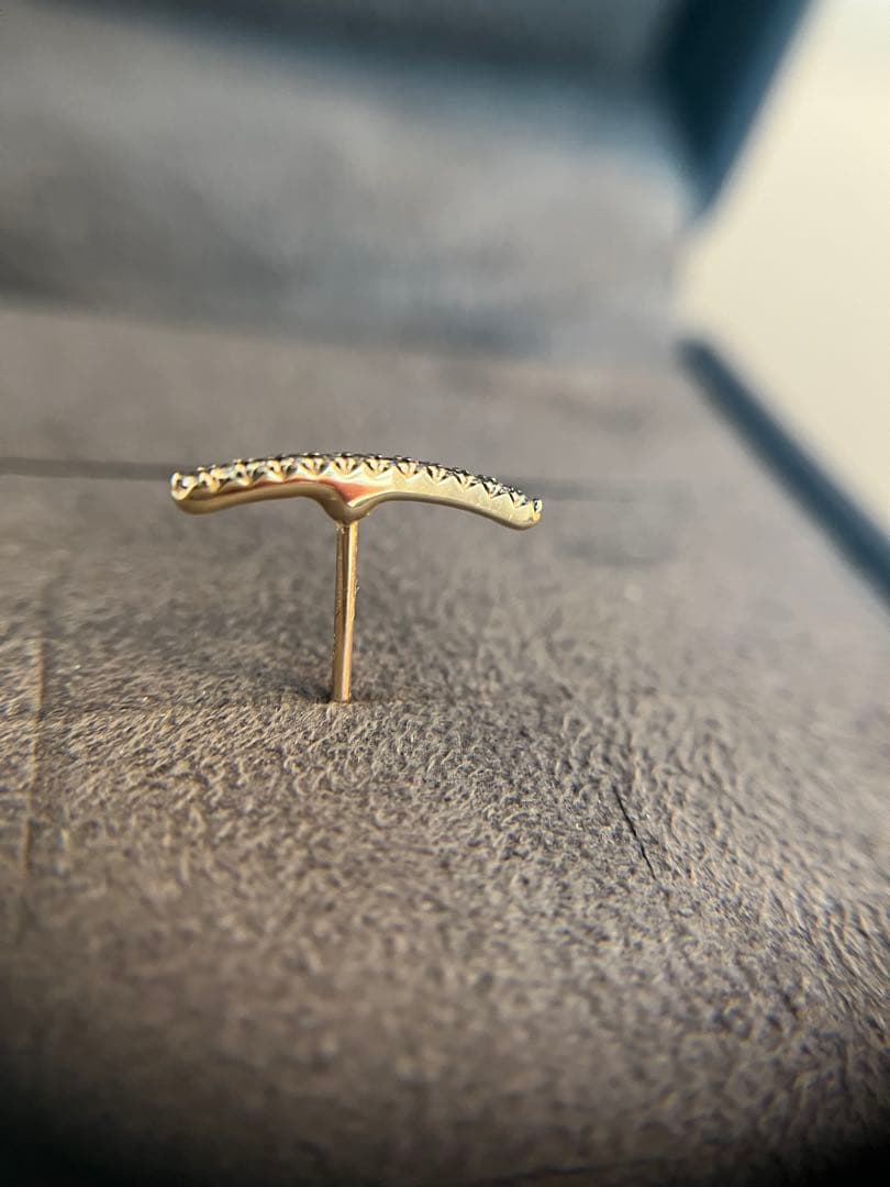 Hirotaka ピアス片耳用☆